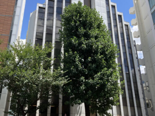 九段プラザビルの全体写真1